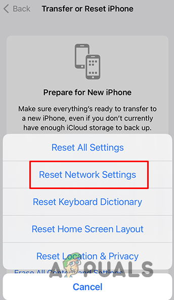 Reset Network Settings