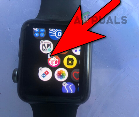 Uninstall Mobyface App on the Apple Watch