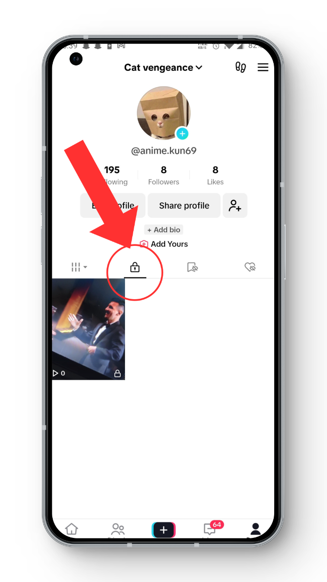 Private Videos TikTok