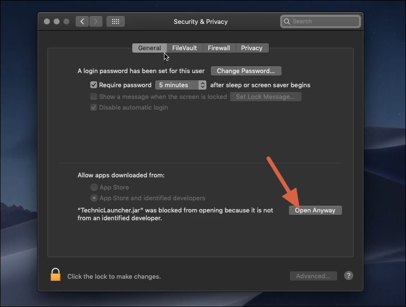 Open Technic Launcher anyway on Mac