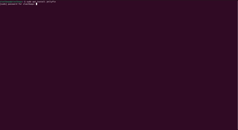 How to Update Jellyfin in Windows, Linux & Mac [Easy Steps]