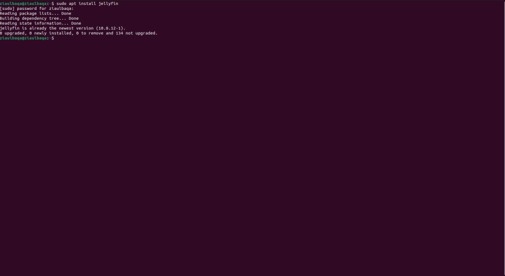 How to Update Jellyfin in Windows, Linux & Mac [Easy Steps]
