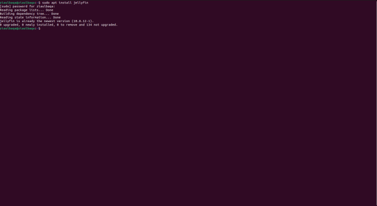How to Update Jellyfin in Windows, Linux & Mac [Easy Steps]