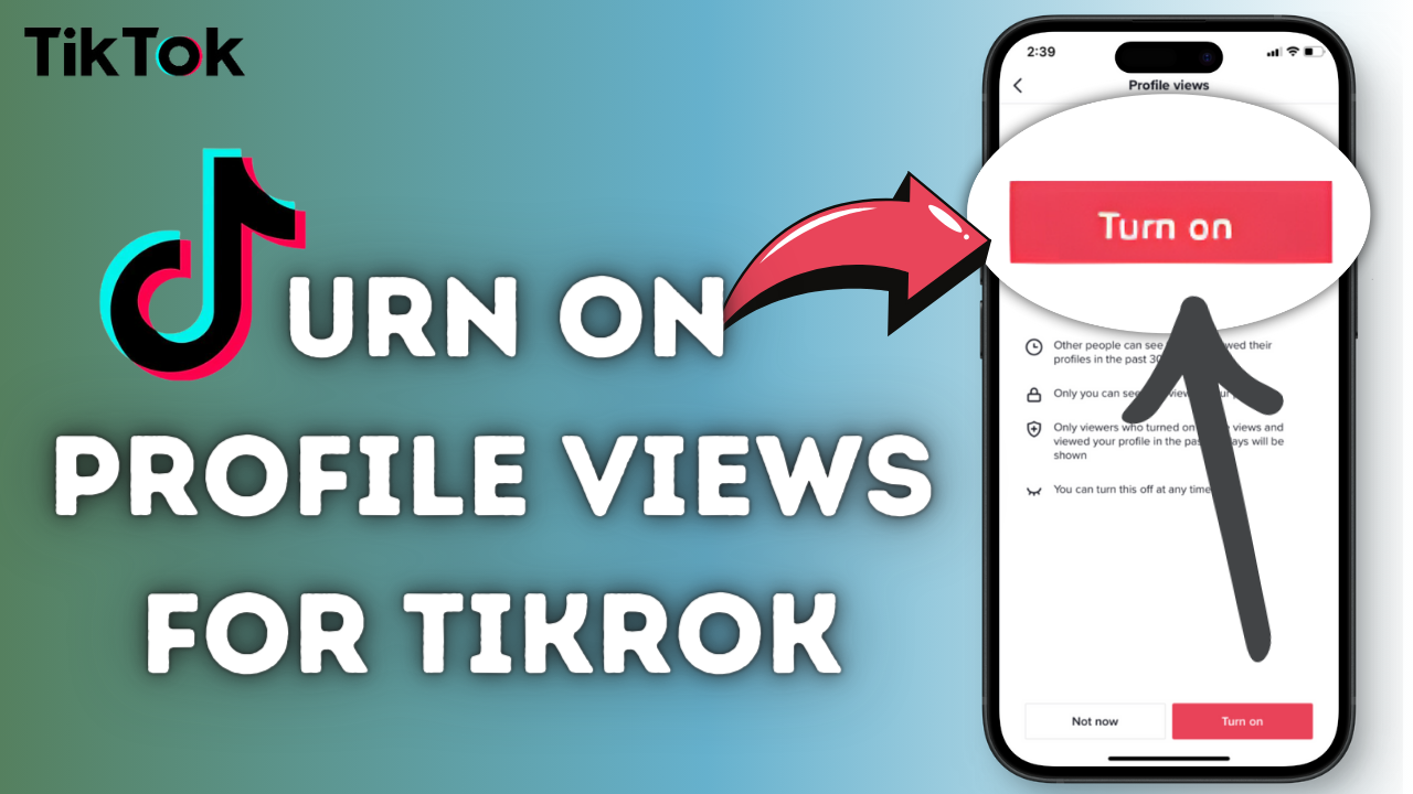 How to Turn On Profile Views on TikTok [2 Easy Methods]