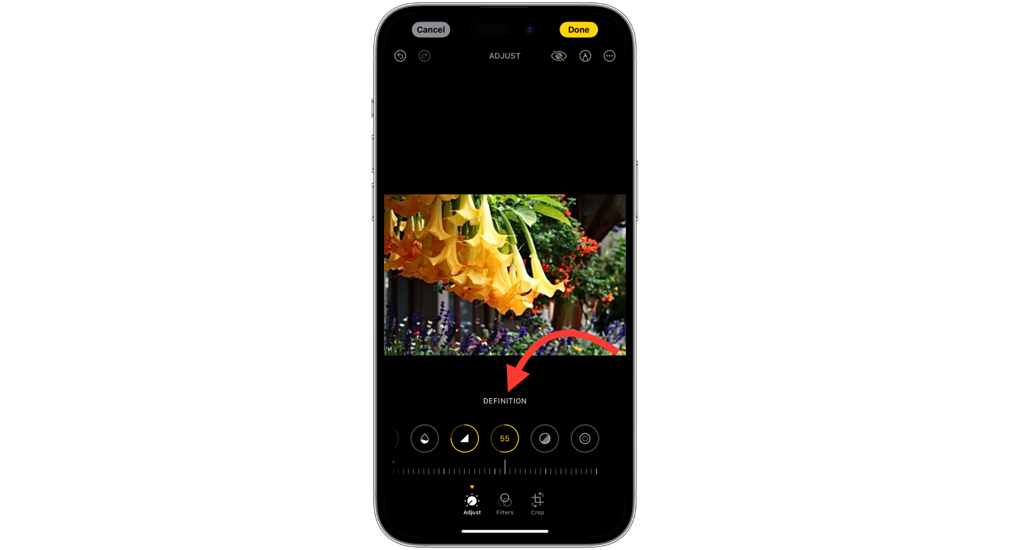 Adjust Definition settings