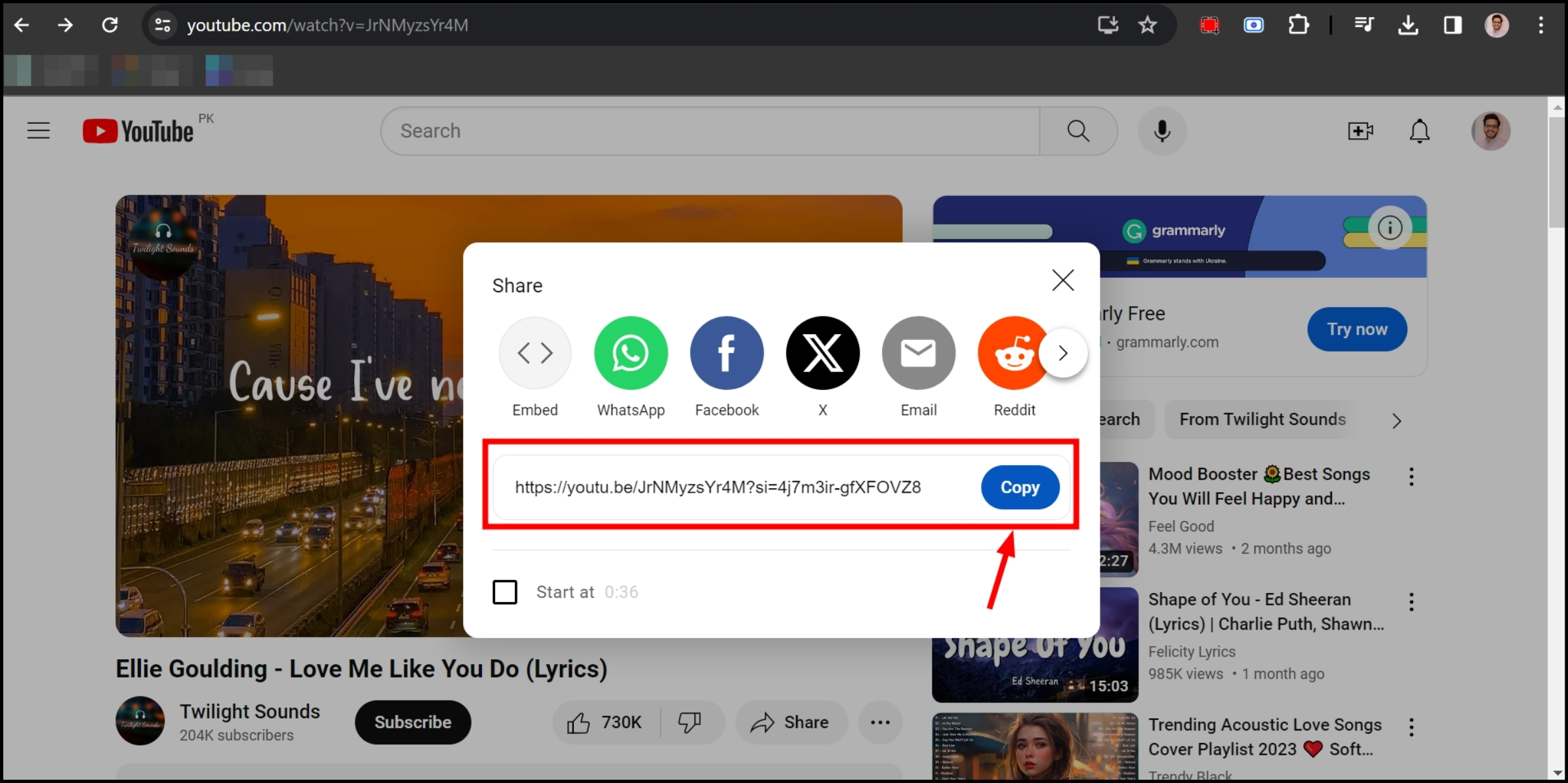 Copy the URL of the music video