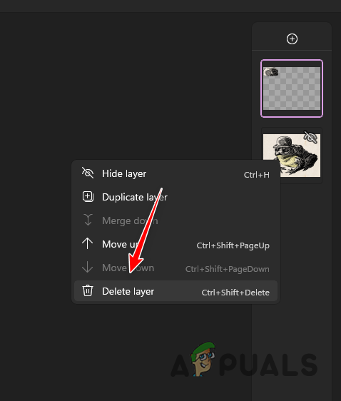 Deleting Layer in Paint