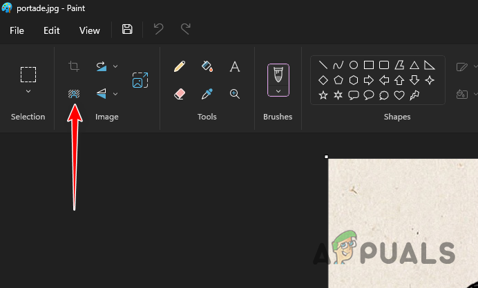 Removing Background in Paint
