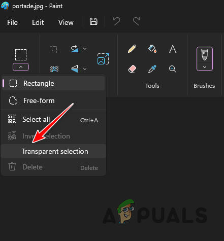 Enabling Transparent Selection