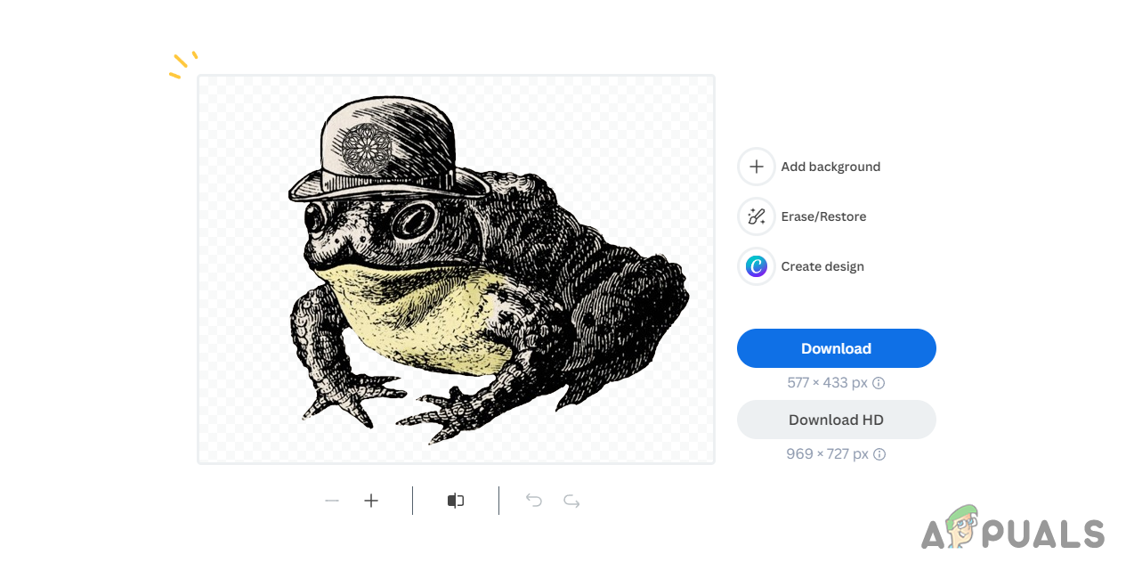 Removing Background via RemoveBG