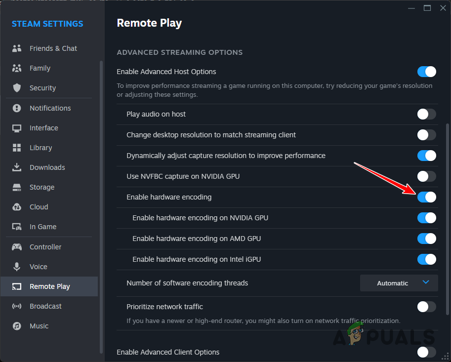 Disabling Hardware Encoding