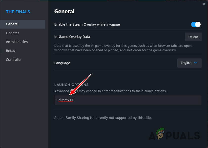 Forcing DirectX11 in The Finals