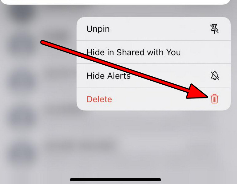 Delete the Group Chat on the iPhone