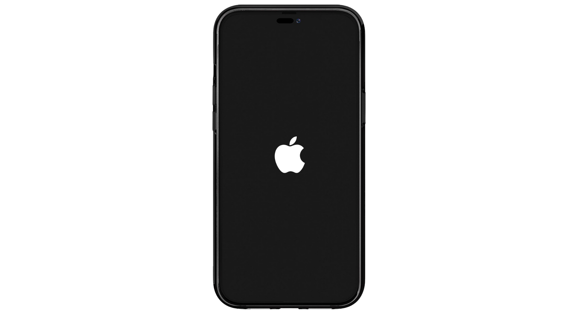 Apple logo will appear