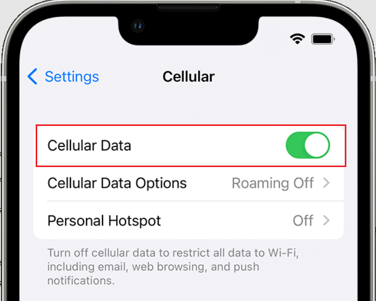 cellular data iphone