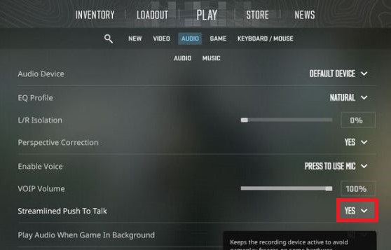 Counter Strike 2 Audio Settings.