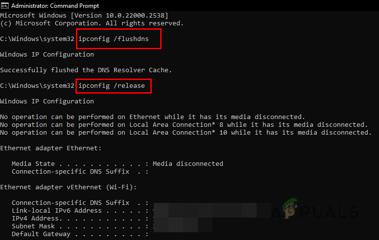 Flush the DNS Cache of the System and Renew its IP