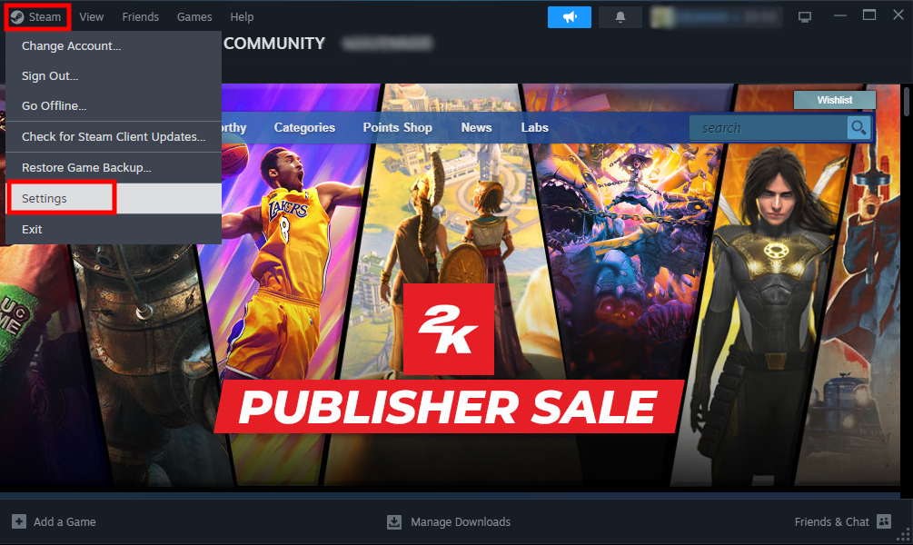 Opening Steam Settings.