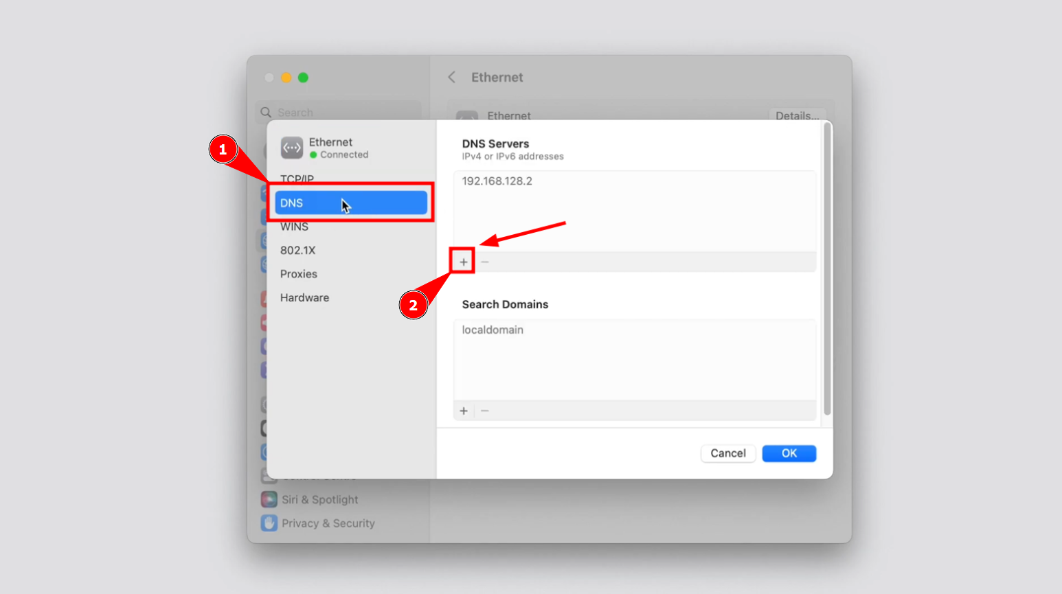 Go to DNS and Click on + Sign