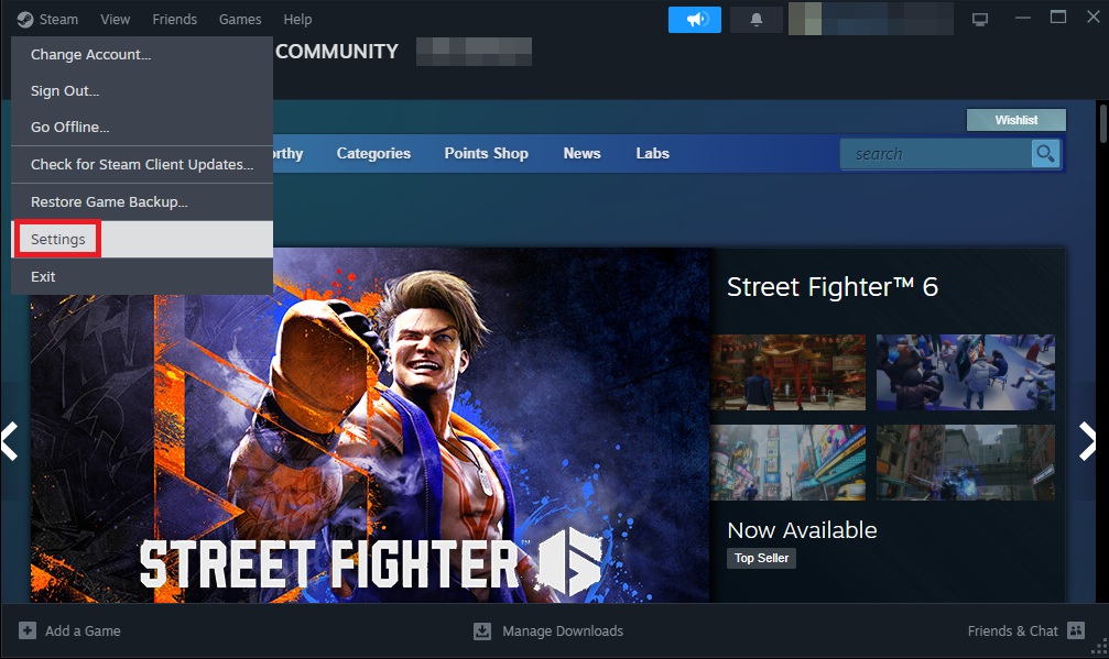 Opening Steam Settings.