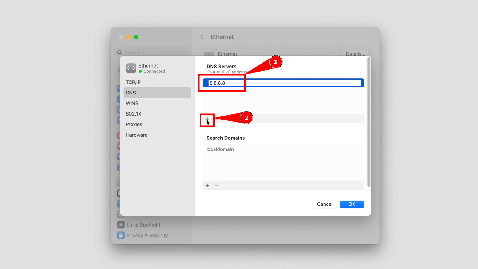 Add the 1st DNS details and Click + again