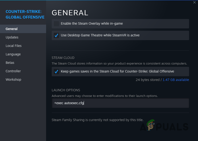 Adding the autoexec Launch Option