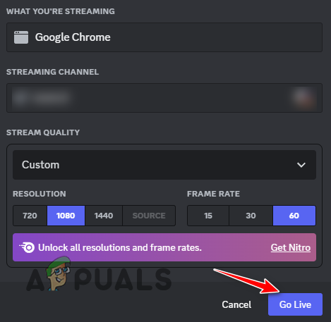 Going Live on Discord