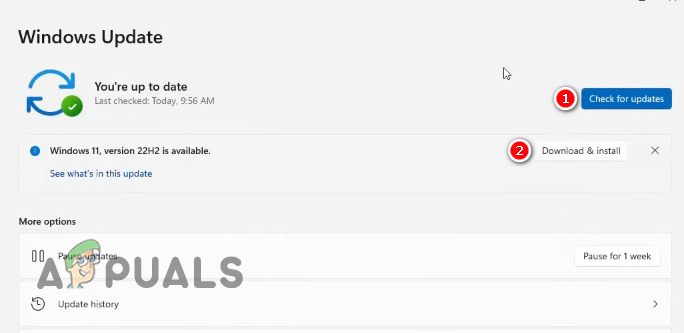 Installing latest version of Windows 11