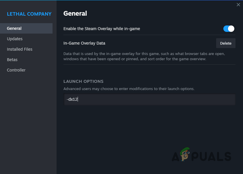 Launching the game with DX12