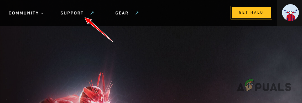 Visiting the Support page