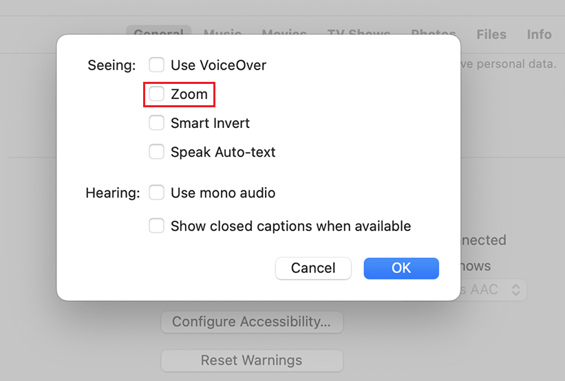 iPhone Screen Zoomed In Stuck