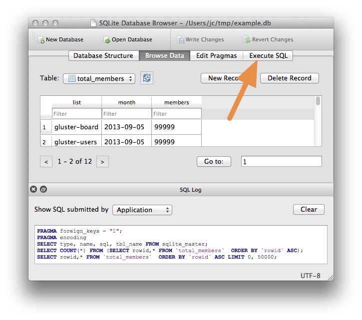 SQLite Browser - Execute Query