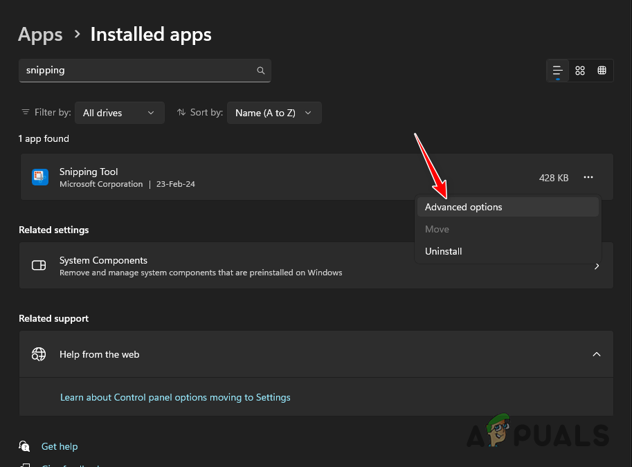 Navigating to Snipping Tool Advanced Options