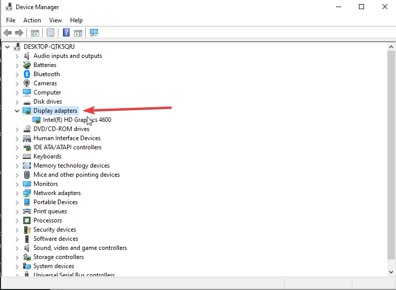 Display Adapters section