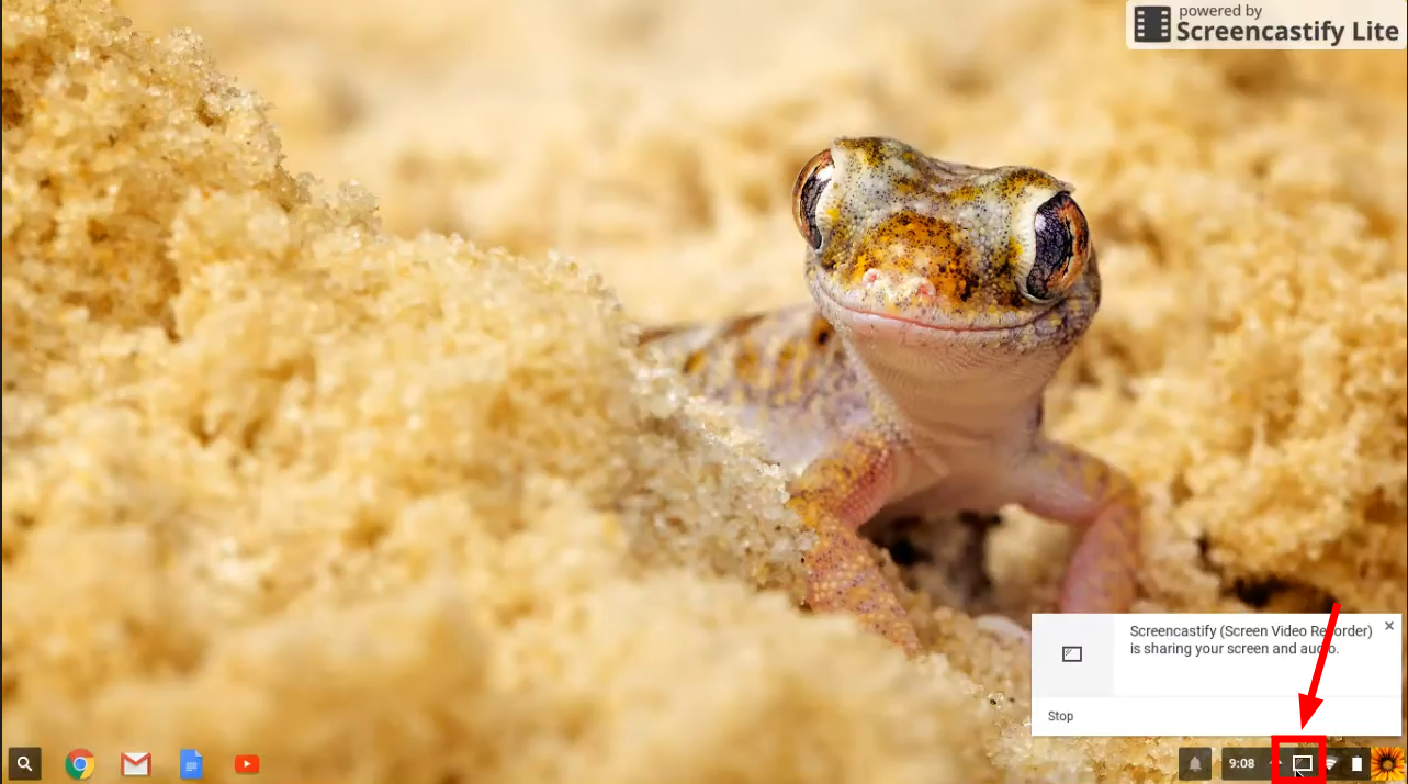 Click the Device icon