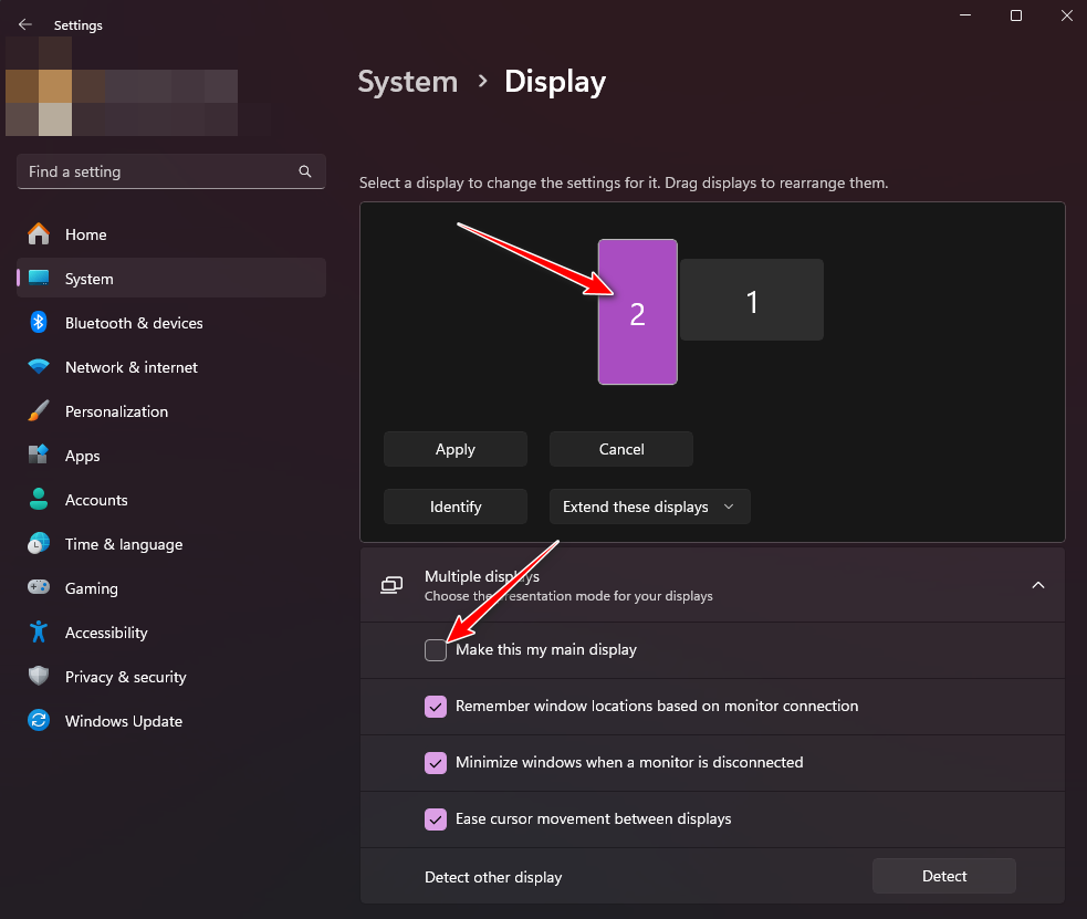 Select Primary Display