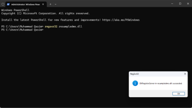 Fix: ResampleDmo.DLL Was Not Found, Code Execution Cannot Proceed