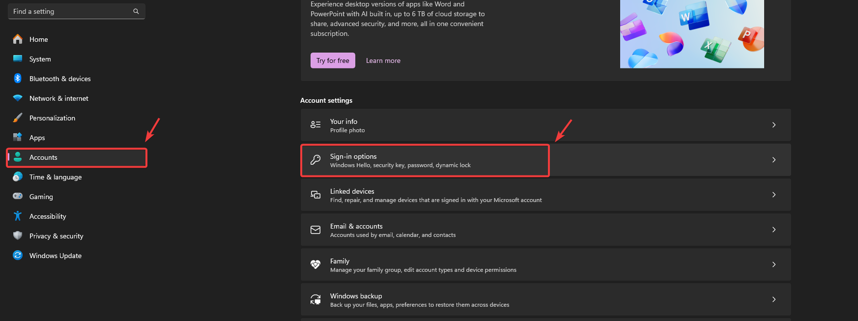 Windows Sign-in options screen