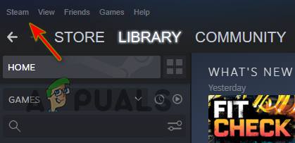 Opening Steam Settings