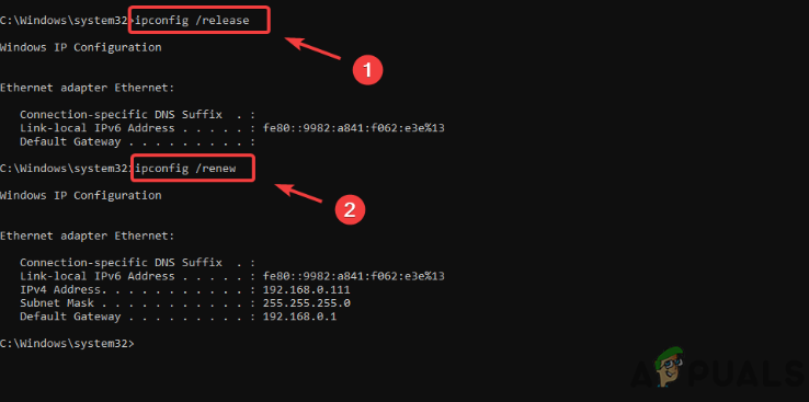 Resetting IP Address