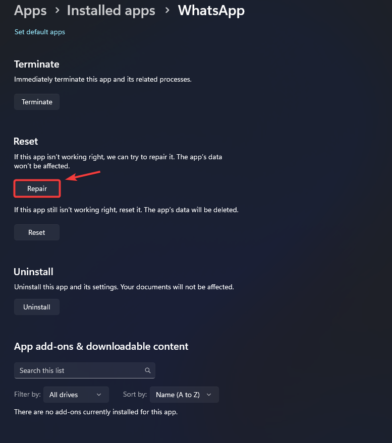 Application repair option