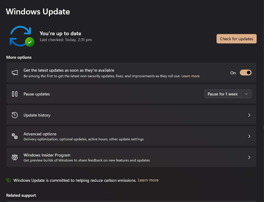 Checking for Windows updates