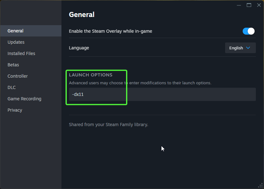 Steam launch options field