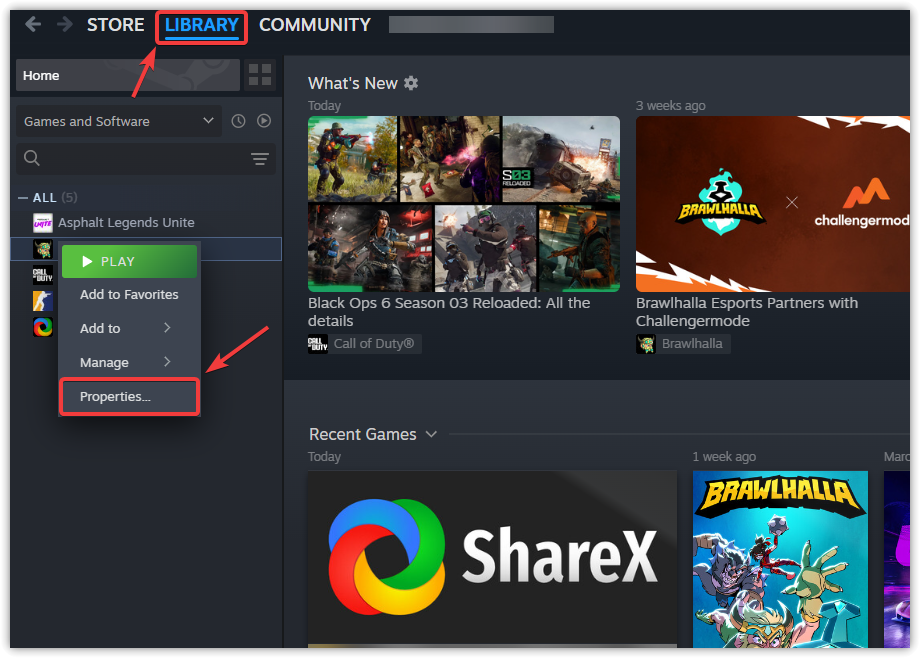 Steam Game Properties