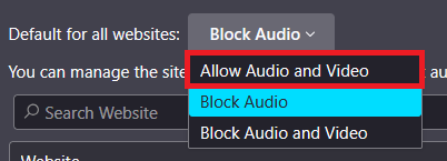 Autoplay permissions window with Allow Audio and Video selected