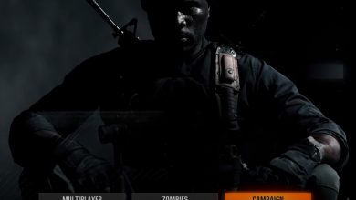 Call of Duty Black Ops 6 can't launch campaign