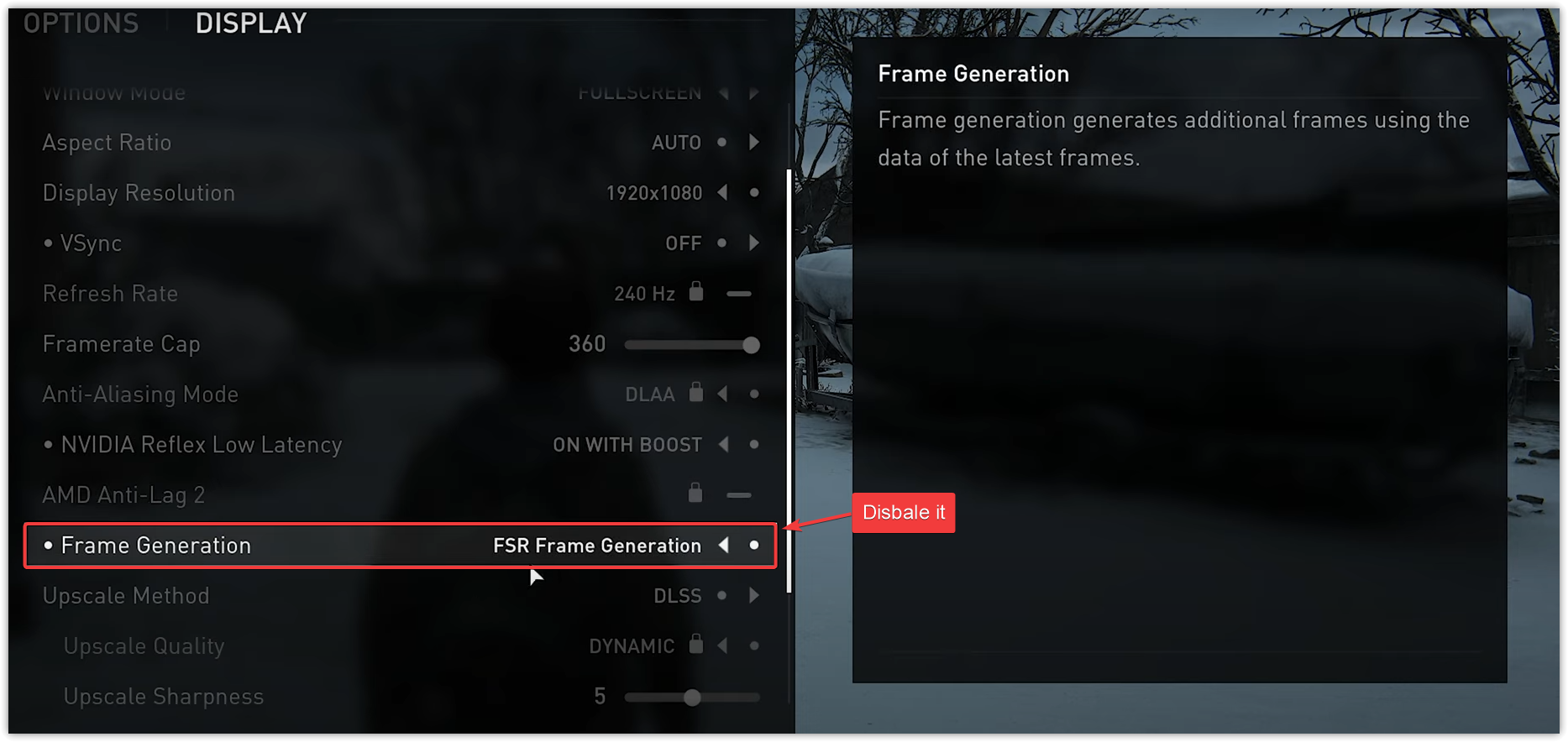 Frame Generation setting in game graphics options