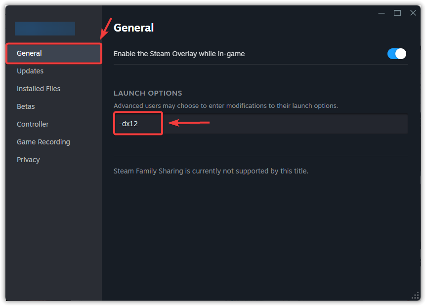 Steam launch options configuration