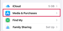Media & Purchases option in iPhone settings