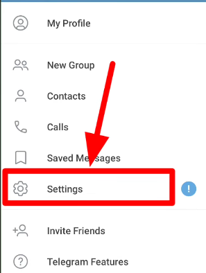 Telegram app settings menu